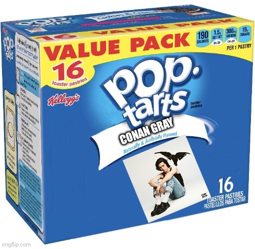 Conan Gray Pop Tarts | CONAN GRAY | image tagged in pop tarts | made w/ Imgflip meme maker