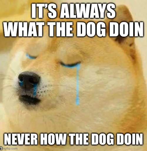 sad doge | IT’S ALWAYS WHAT THE DOG DOIN; NEVER HOW THE DOG DOIN | image tagged in sad doge | made w/ Imgflip meme maker