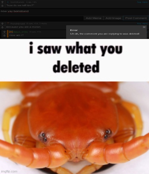 i saw what you deleted | image tagged in i saw what you deleted | made w/ Imgflip meme maker