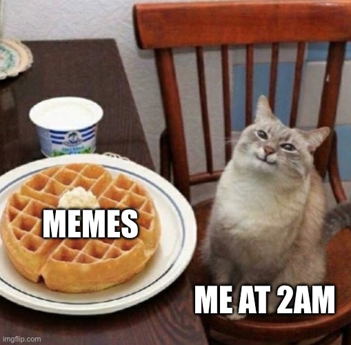 So tired | MEMES; ME AT 2AM | image tagged in cat likes their waffle | made w/ Imgflip meme maker
