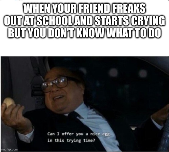 Idk | WHEN YOUR FRIEND FREAKS OUT AT SCHOOL AND STARTS CRYING BUT YOU DON’T KNOW WHAT TO DO | image tagged in can i offer you an egg | made w/ Imgflip meme maker