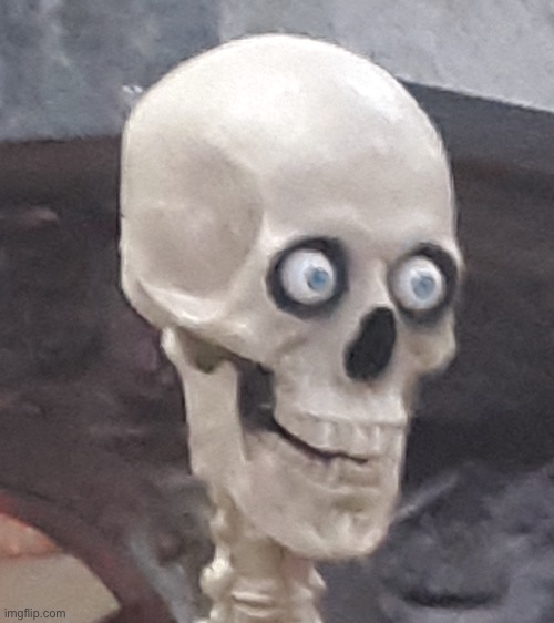 Traumatized Skeleton | image tagged in traumatized skeleton | made w/ Imgflip meme maker