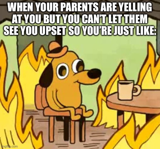 I wish crying was impossible | WHEN YOUR PARENTS ARE YELLING AT YOU BUT YOU CAN’T LET THEM SEE YOU UPSET SO YOU’RE JUST LIKE: | image tagged in its fine | made w/ Imgflip meme maker