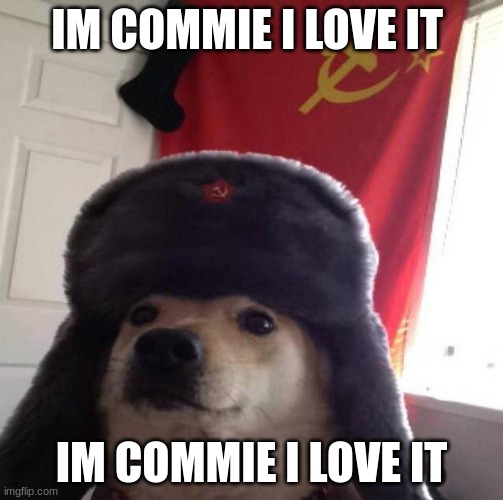 im not actually commie im from usa | IM COMMIE I LOVE IT; IM COMMIE I LOVE IT | image tagged in russian doge | made w/ Imgflip meme maker