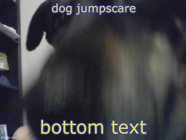 dog jumpscare; bottom text | made w/ Imgflip meme maker