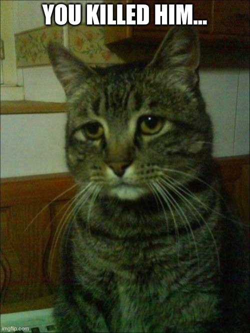 Depressed Cat Meme | YOU KILLED HIM... | image tagged in memes,depressed cat | made w/ Imgflip meme maker