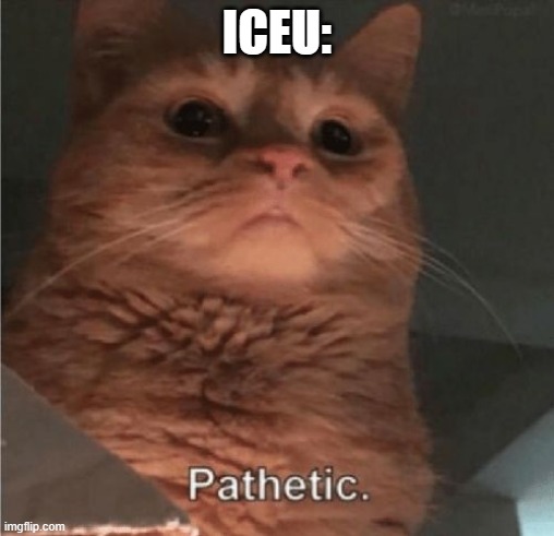 Pathetic Cat | ICEU: | image tagged in pathetic cat | made w/ Imgflip meme maker