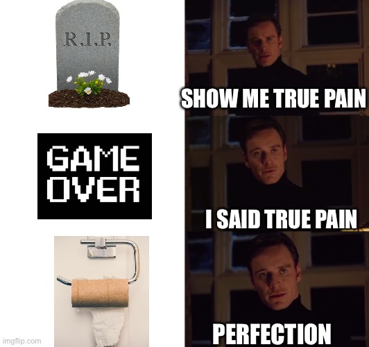 HAHAHA | SHOW ME TRUE PAIN; I SAID TRUE PAIN; PERFECTION | image tagged in perfection | made w/ Imgflip meme maker