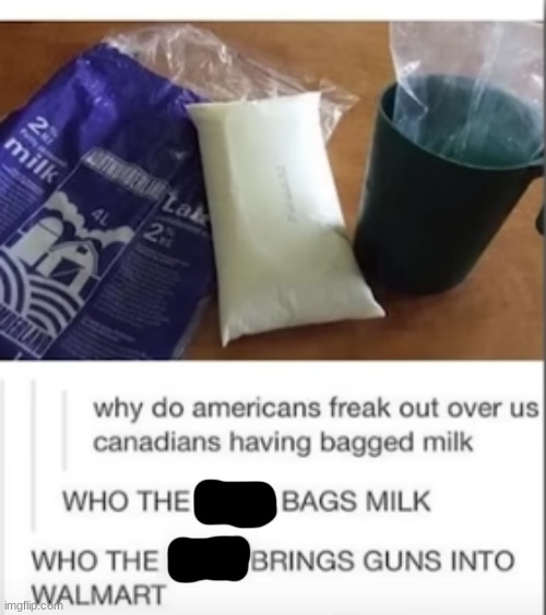 its normal, i have bagged milk and choccy milk | image tagged in bag,milk,canada,guns,walmart | made w/ Imgflip meme maker