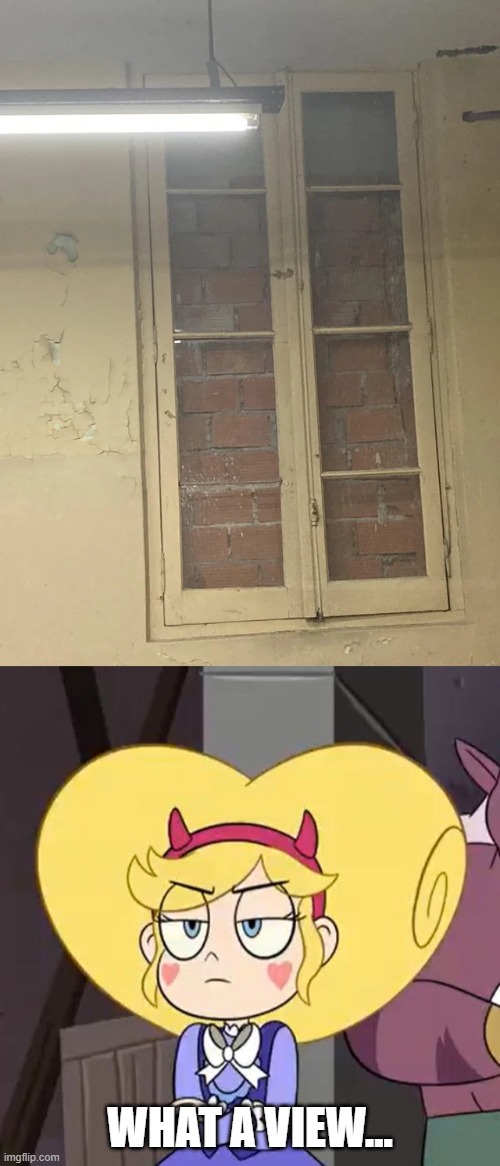 What a view | WHAT A VIEW... | image tagged in star butterfly,you had one job,star vs the forces of evil,memes | made w/ Imgflip meme maker