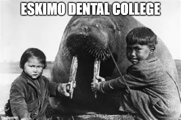 ESKIMO DENTAL COLLEGE | image tagged in memes | made w/ Imgflip meme maker