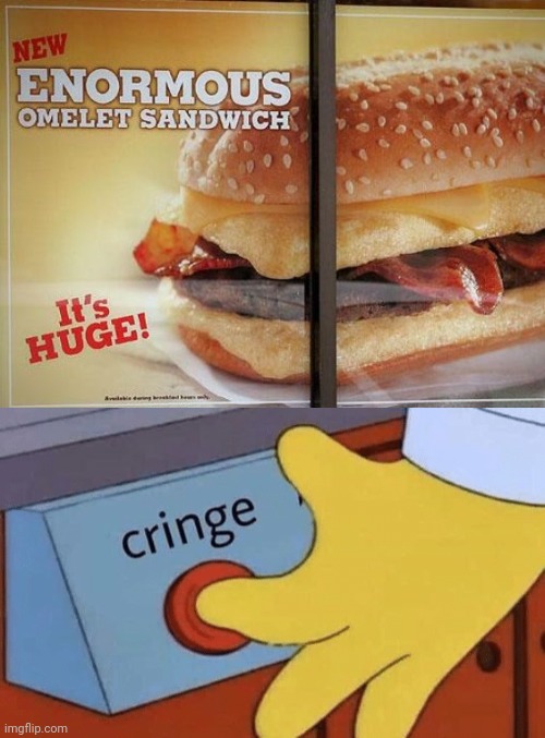 Vertical line ruined it | image tagged in cringe button,burger king,sandwich,you had one job,memes,restaurant | made w/ Imgflip meme maker