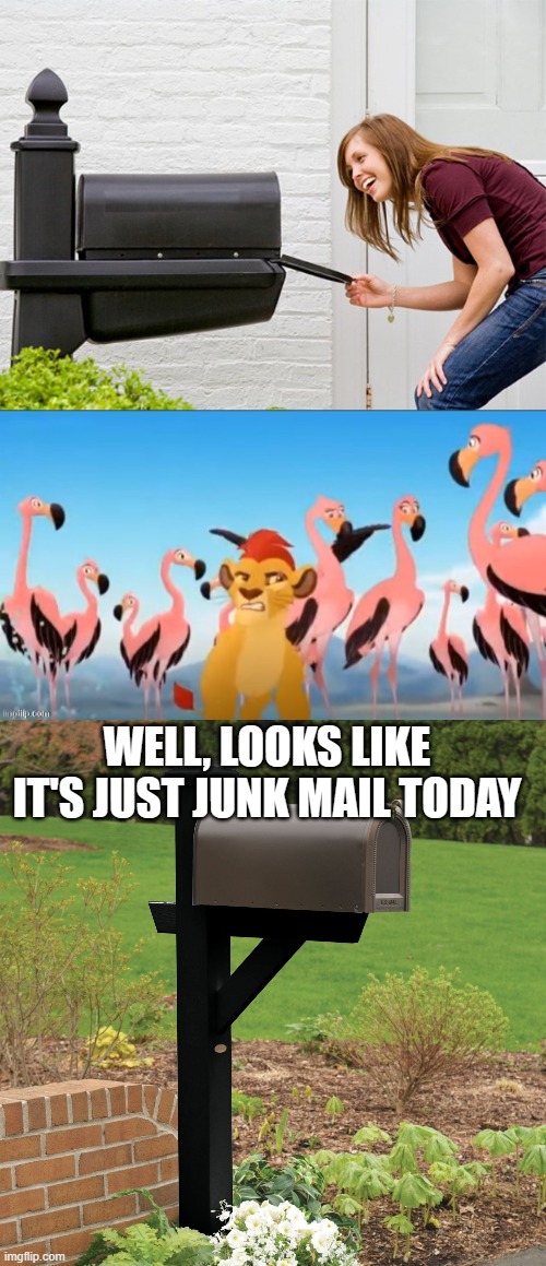 WELL, LOOKS LIKE IT'S JUST JUNK MAIL TODAY | image tagged in huge black mailbox,garbage,mailbox memes | made w/ Imgflip meme maker