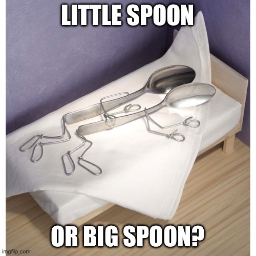 Big spoon or little spoon? | LITTLE SPOON; OR BIG SPOON? | image tagged in spooning,spoon,squidward can't sleep with the spoons rattling | made w/ Imgflip meme maker