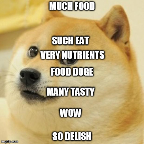 Doge Meme | MUCH FOOD SO DELISH MANY TASTY VERY NUTRIENTS SUCH EAT WOW FOOD DOGE | image tagged in memes,doge | made w/ Imgflip meme maker