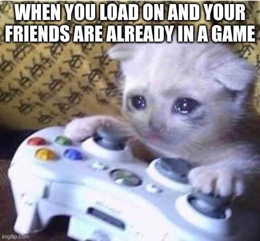 Sad gaming cat | WHEN YOU LOAD ON AND YOUR FRIENDS ARE ALREADY IN A GAME | image tagged in sad gaming cat | made w/ Imgflip meme maker