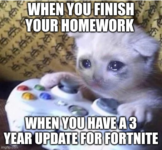Sad gaming cat | WHEN YOU FINISH YOUR HOMEWORK; WHEN YOU HAVE A 3 YEAR UPDATE FOR FORTNITE | image tagged in sad gaming cat | made w/ Imgflip meme maker