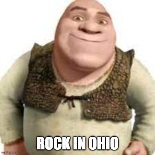 rock | ROCK IN OHIO | image tagged in rock | made w/ Imgflip meme maker
