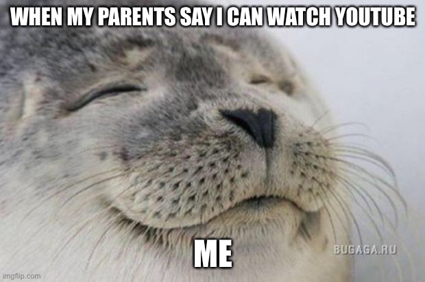 Happy Seal | WHEN MY PARENTS SAY I CAN WATCH YOUTUBE; ME | image tagged in happy seal | made w/ Imgflip meme maker