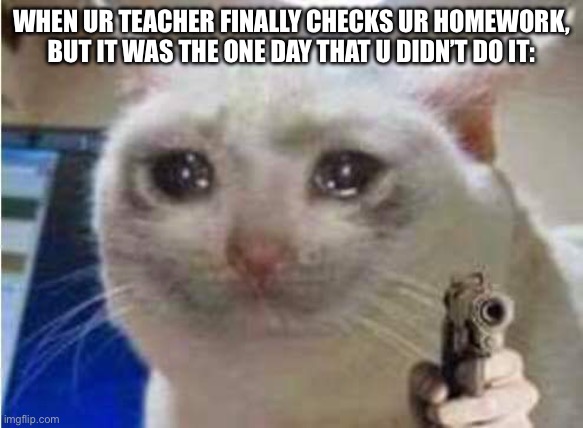 Image Title, but cool? | WHEN UR TEACHER FINALLY CHECKS UR HOMEWORK, BUT IT WAS THE ONE DAY THAT U DIDN’T DO IT: | image tagged in sad cat with gun | made w/ Imgflip meme maker