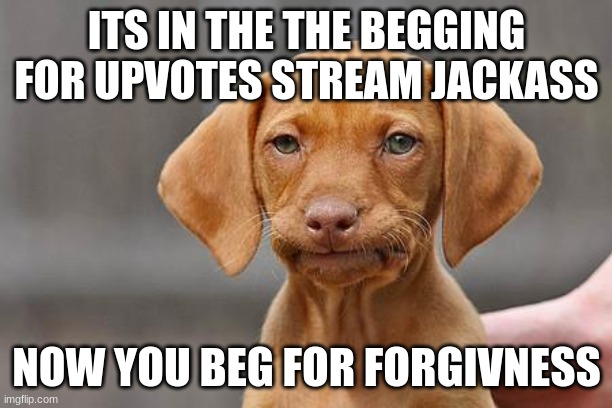 Dissapointed puppy | ITS IN THE THE BEGGING FOR UPVOTES STREAM JACKASS NOW YOU BEG FOR FORGIVNESS | image tagged in dissapointed puppy | made w/ Imgflip meme maker