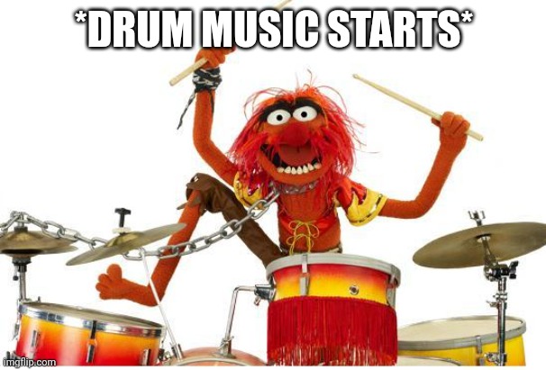 animal drums | *DRUM MUSIC STARTS* | image tagged in animal drums | made w/ Imgflip meme maker