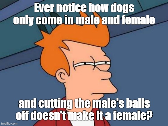 Dogs | Ever notice how dogs only come in male and female; and cutting the male's balls off doesn't make it a female? | image tagged in memes,futurama fry | made w/ Imgflip meme maker