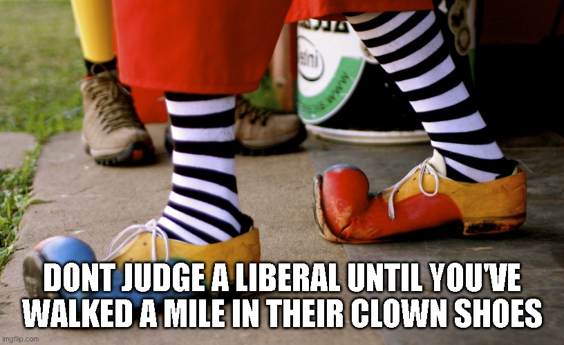 Shoes, clown | DONT JUDGE A LIBERAL UNTIL YOU'VE WALKED A MILE IN THEIR CLOWN SHOES | image tagged in shoes clown | made w/ Imgflip meme maker