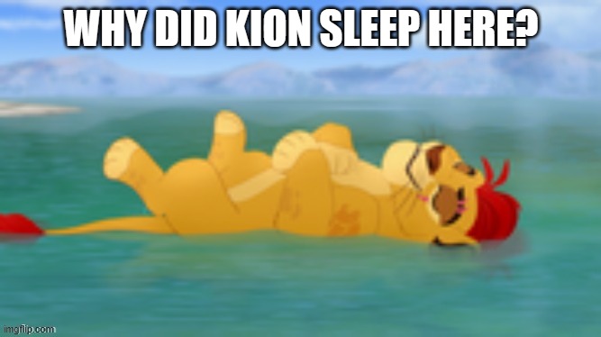 Useless gate | WHY DID KION SLEEP HERE? | image tagged in useless gate | made w/ Imgflip meme maker