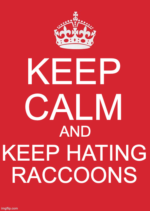 they kill chickens for fun | KEEP CALM; AND; KEEP HATING RACCOONS | image tagged in memes,keep calm and carry on red | made w/ Imgflip meme maker