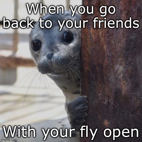 Well… that’s embarrassing | When you go back to your friends; With your fly open | image tagged in seal bonjour shy look,embarrassing,shy,friends | made w/ Imgflip meme maker