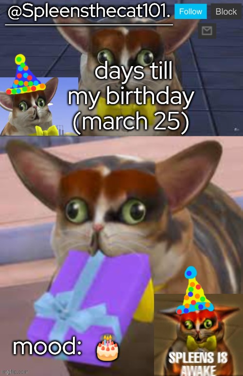 yez | days till my birthday (march 25); 🎂 | image tagged in spleensthecat101 | made w/ Imgflip meme maker