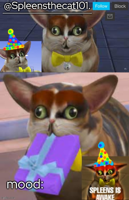 spleens birthday Blank Meme Template