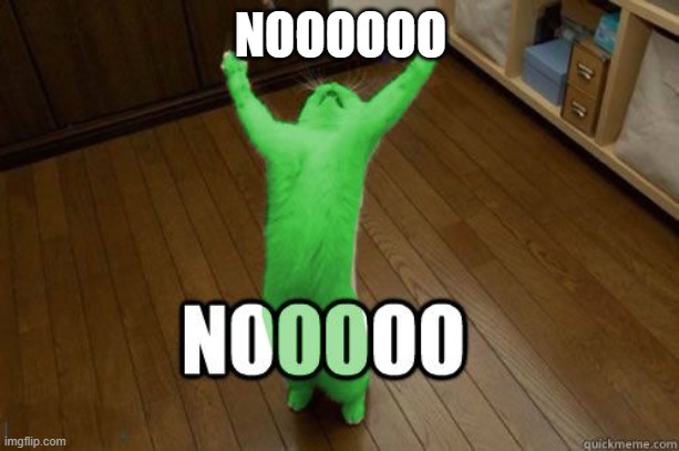 RayCat Noooooo | NOOOOOO | image tagged in raycat noooooo | made w/ Imgflip meme maker