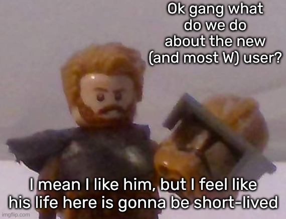 Commander Cross | Ok gang what do we do about the new (and most W) user? I mean I like him, but I feel like his life here is gonna be short-lived | image tagged in commander cross | made w/ Imgflip meme maker