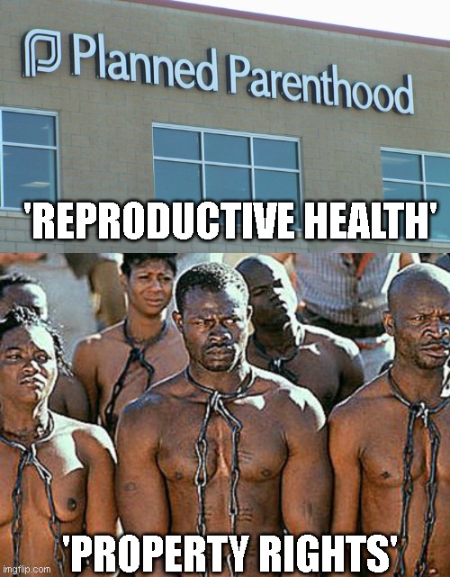 'REPRODUCTIVE HEALTH'; 'PROPERTY RIGHTS' | image tagged in planned abortionhood,slavery | made w/ Imgflip meme maker