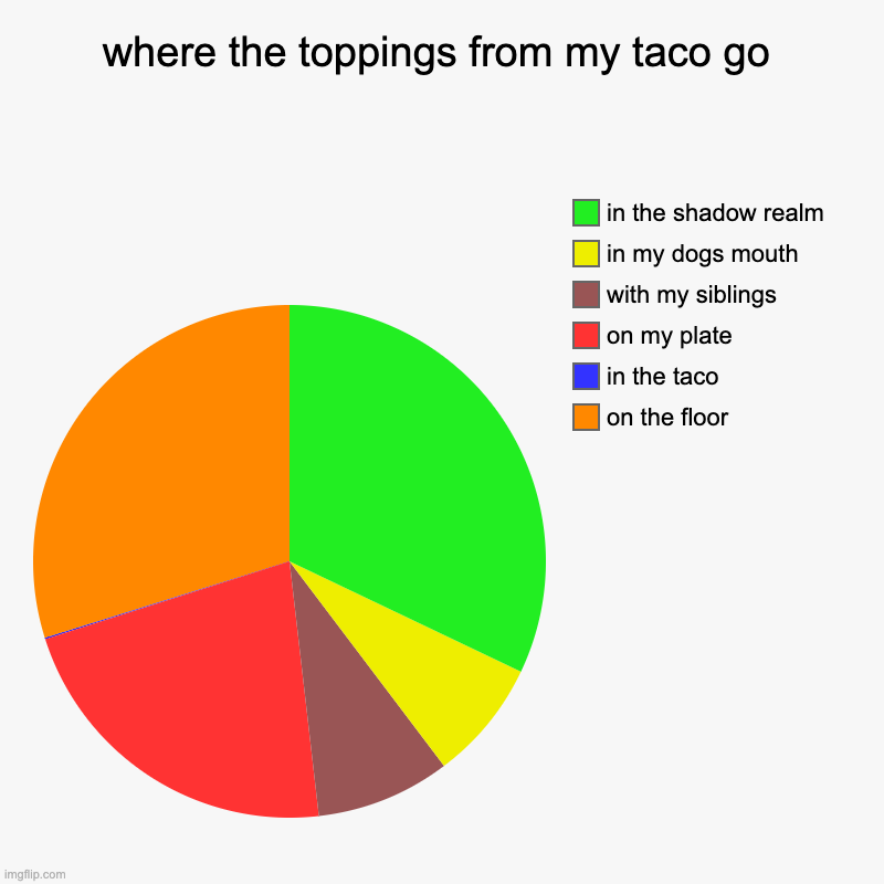 where the toppings from my taco go | on the floor, in the taco, on my plate, with my siblings, in my dogs mouth, in the shadow realm | image tagged in charts,pie charts | made w/ Imgflip chart maker