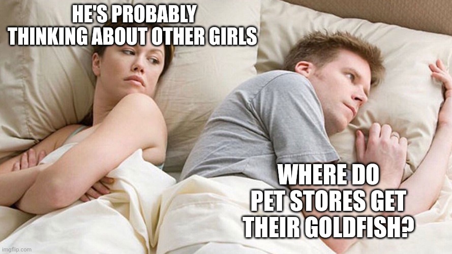 He's probably thinking about girls | HE'S PROBABLY THINKING ABOUT OTHER GIRLS; WHERE DO PET STORES GET THEIR GOLDFISH? | image tagged in he's probably thinking about girls | made w/ Imgflip meme maker