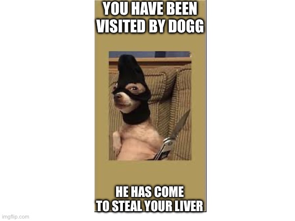 Dogg | YOU HAVE BEEN VISITED BY DOGG; HE HAS COME TO STEAL YOUR LIVER | image tagged in reeeeeeeeeeeeeeeeeeeeee | made w/ Imgflip meme maker