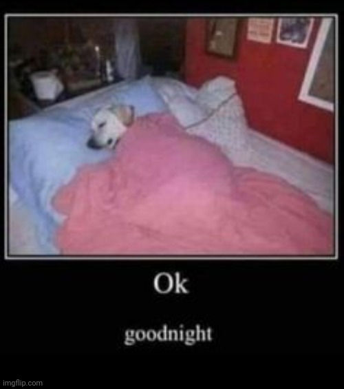 Ok goodnight | image tagged in ok goodnight | made w/ Imgflip meme maker