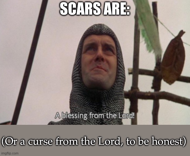 Scars | SCARS ARE:; (Or a curse from the Lord, to be honest) | image tagged in a blessing from the lord | made w/ Imgflip meme maker