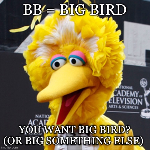 Big Bird Meme | BB = BIG BIRD YOU WANT BIG BIRD?
(OR BIG SOMETHING ELSE) | image tagged in memes,big bird | made w/ Imgflip meme maker