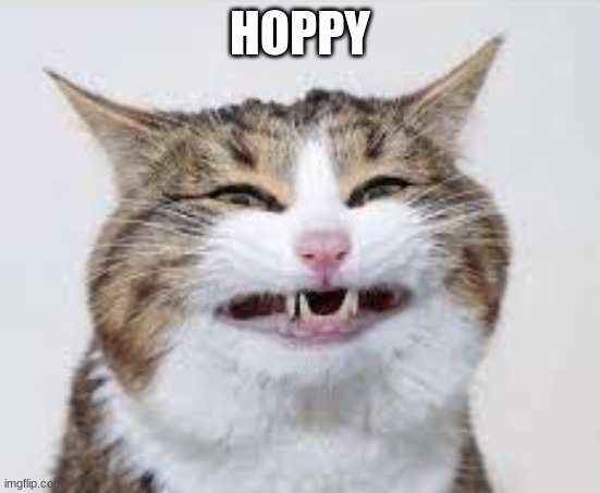HOPPY | made w/ Imgflip meme maker