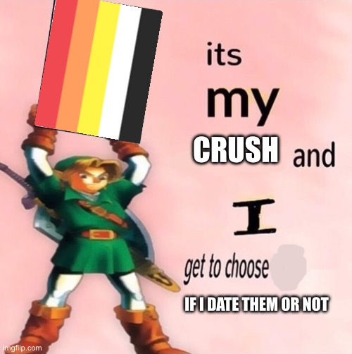 it’s the Lithromantic flag btw | CRUSH; IF I DATE THEM OR NOT | image tagged in it's my and i get to choose the,lgbtq | made w/ Imgflip meme maker