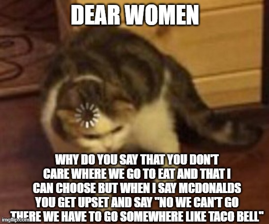 women please answer | DEAR WOMEN; WHY DO YOU SAY THAT YOU DON'T CARE WHERE WE GO TO EAT AND THAT I CAN CHOOSE BUT WHEN I SAY MCDONALDS YOU GET UPSET AND SAY "NO WE CAN'T GO THERE WE HAVE TO GO SOMEWHERE LIKE TACO BELL" | image tagged in loading cat,genuine question | made w/ Imgflip meme maker