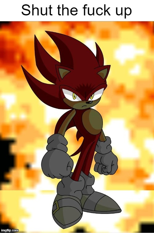 Fire Sonic tells you to shut up | image tagged in insult | made w/ Imgflip meme maker