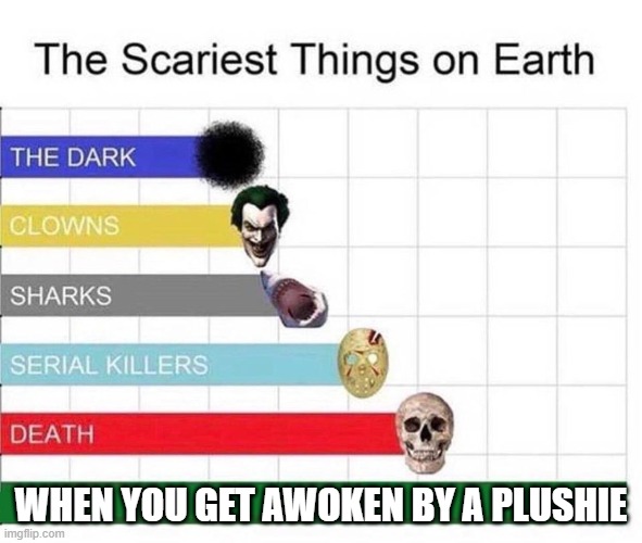 It's pretty scary | WHEN YOU GET AWOKEN BY A PLUSHIE | image tagged in scariest things in the world | made w/ Imgflip meme maker
