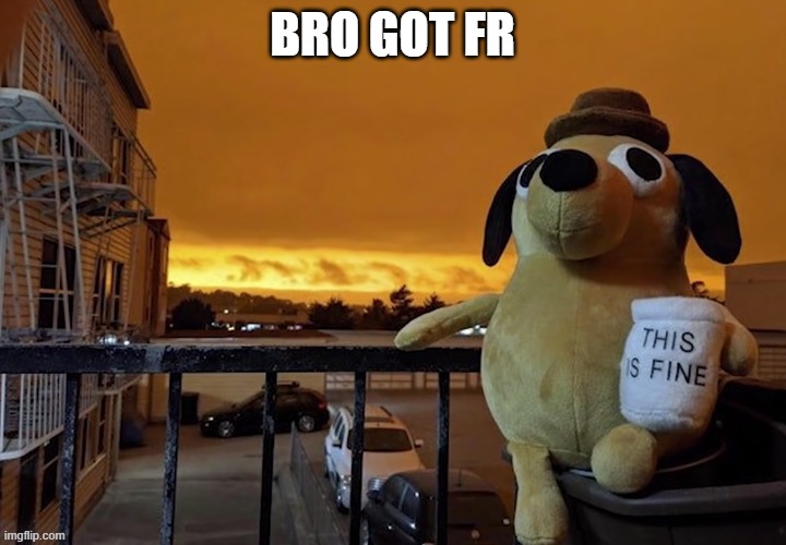 This is fine plush | BRO GOT FR | image tagged in this is fine plush,fr,memes | made w/ Imgflip meme maker