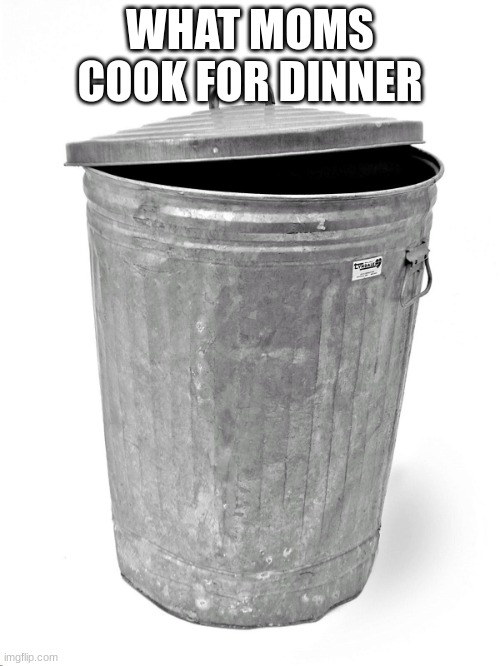 Trash Can | WHAT MOMS COOK FOR DINNER | image tagged in trash can | made w/ Imgflip meme maker
