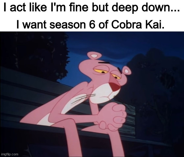 I act like I'm fine but deep down... | I act like I'm fine but deep down... I want season 6 of Cobra Kai. | image tagged in sad pink panther,memes | made w/ Imgflip meme maker